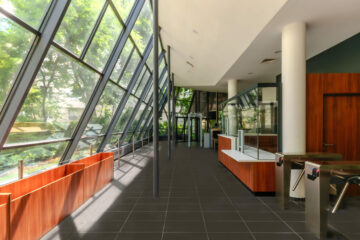 Portfolio Image