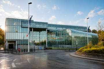 Portfolio Image