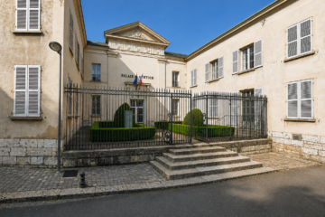 Portfolio Image
